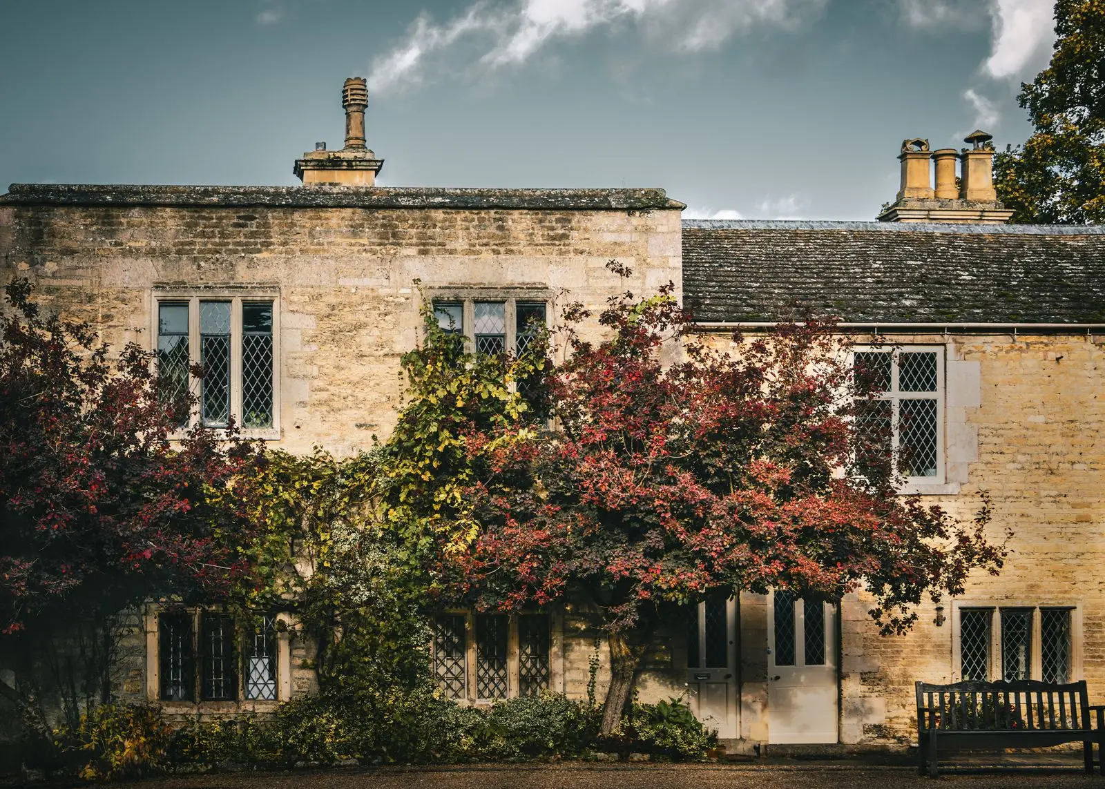 The Gardener's House behind its blossom tree